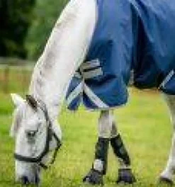 New Couverture d'extérieur Bravo 12 Turnout 100g  - HORSWARE Couvertures Cheval