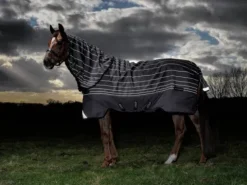 Sale Couverture d'extérieur Bravo 12 Reflectech Plus - Horseware - 100g Couvertures Cheval