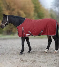 Hot Couverture d'extérieur Economic 300gr Couvertures Cheval