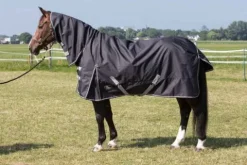 Discount Couverture d'extérieur imperméable cou Thor 0gr - Harry's horse Couvertures Cheval