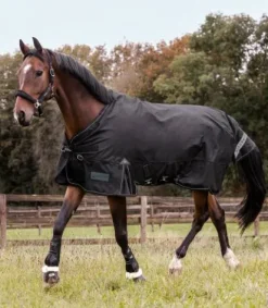Sale Couverture d’extérieur Multi-Layer - - 150 g / 50 g Couvertures Cheval