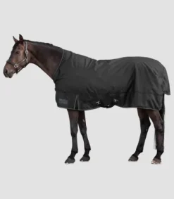 Sale Couverture d’extérieur NORDIC High Neck - - 100 g Couvertures Cheval