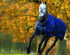 Online Couverture extérieur Bravo 12 Turnout Heavy - Horseware - 400g Couvertures Cheval