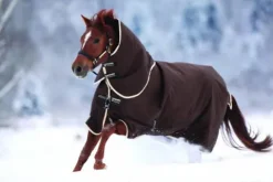 Online Couverture extérieur Bravo 12 Turnout Heavy - Horseware - 400g Couvertures Cheval