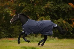 Best Couverture extérieur Bravo 12 Moyen 250g - Horseware - 1200D imperméable Couvertures Cheval
