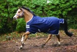 Best Couverture extérieur Bravo 12 Moyen 250g - Horseware - 1200D imperméable Couvertures Cheval