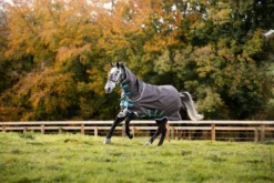 Discount Couverture extérieur Bravo 12 Plus Medium Couvertures Cheval