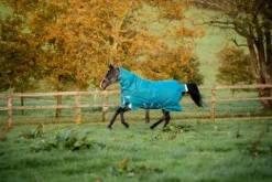 Hot Couverture extérieur Bravo 12 Plus 400g Couvertures Cheval