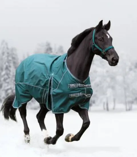 Sale Couverture extérieur Comfort Line Polaire Couvertures Cheval