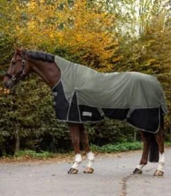 Couverture extérieur Comfort Line 200G High Neck Couvertures Cheval