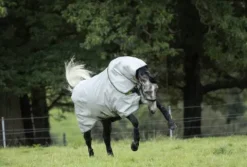 Outlet Couverture extérieure Duo Bundle Couvertures Cheval