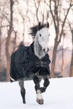 Best Couverture highneck 125 cm avec thermomètre intégré - - Doublure fine Couvertures Cheval