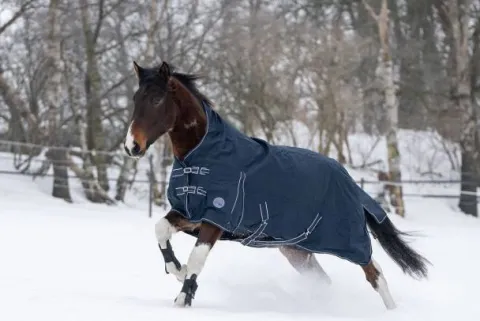 Discount Couverture Highneck Starter 100G Couvertures Cheval