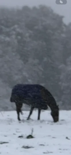 Hot Couverture imperméable 100g Couvertures Cheval