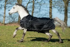 Sale Couverture imperméable 200g 1680d Couvertures Cheval