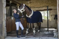 New Couverture laine Teddy - Chemises Cheval