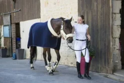 New Couverture laine Teddy - Chemises Cheval