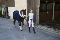 New Couverture laine Teddy - Chemises Cheval