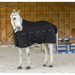 Couverture Paddock 200g CLINT Couvertures Cheval