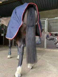 Best Couverture Pénélope Couvertures Cheval