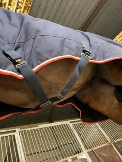 Best Couverture Pénélope Couvertures Cheval