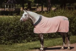 Best Couverture Polaire Col Mouton - Pink Chemises Cheval