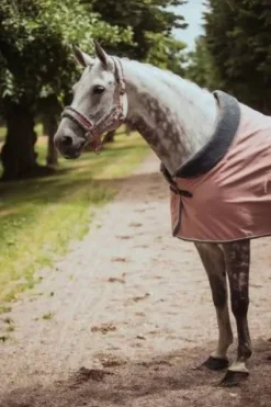 Best Couverture Polaire Col Mouton - Pink Chemises Cheval