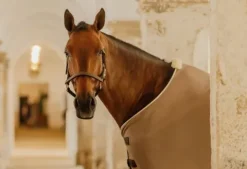 Couverture polaire de présentation Vegan Wool - Kentucky Chemises Cheval