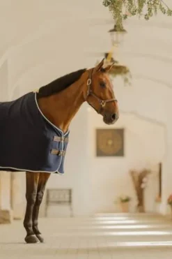 Couverture polaire de présentation Vegan Wool - Kentucky Chemises Cheval