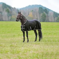 Discount Couverture polaire sans encolure Chemises Cheval