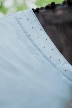 Best Couverture polaire Velvet Crystal Platinum 2023 - Chemises Cheval