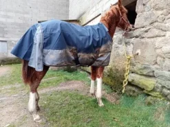 Online Couverture poney/poulain Couvertures Cheval