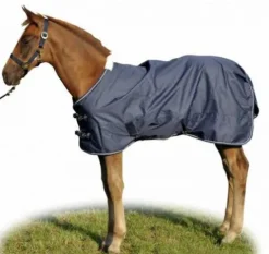Clearance Couverture pour poulain Professional Couvertures Cheval