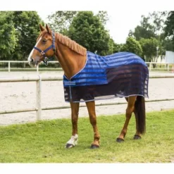 Online Couverture rafraichissante Chemises Cheval