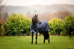 Discount Couverture Duo Force Couvertures Cheval