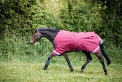 Discount Couverture Rambo Original Extérieur Lite 0g Couvertures Cheval