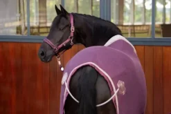 New Couverture séchante Acrylic Heritage 2023 - Chemises Cheval