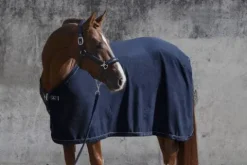 Couverture séchante Fleece Stamped Platinum 2022- Chemises Cheval