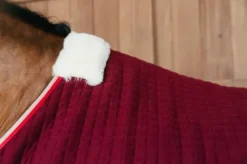 Outlet Couverture séchante PROTherm - KENTUCKY Chemises Cheval