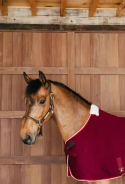 Outlet Couverture séchante PROTherm - KENTUCKY Chemises Cheval