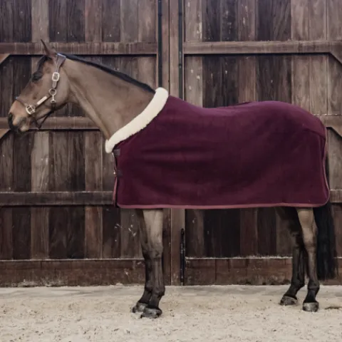 Discount Couverture séchante Show Heavy - Kentucky Chemises Cheval