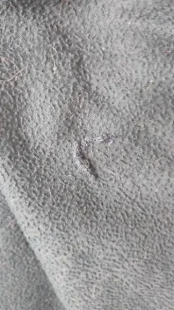 Online Couverture séchante wahlstėn Couvertures Cheval