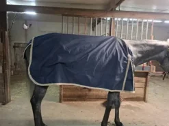 New Couverture imperméable Couvertures Cheval