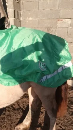 Clearance Couvre rein Couvre-Reins