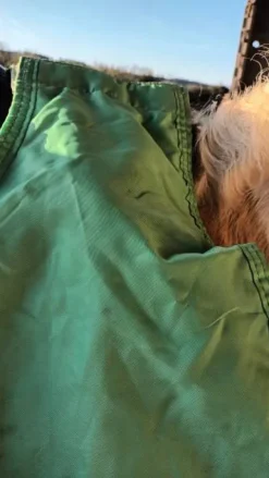 Clearance Couvre rein Couvre-Reins