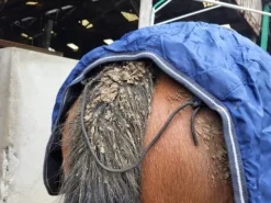 Discount Couvre rein 145 Couvre-Reins