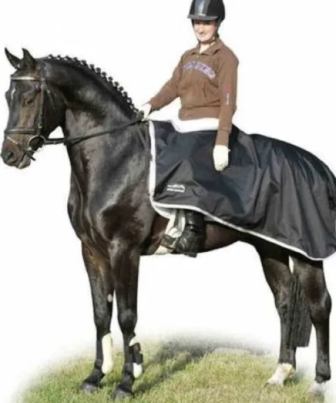 Best Couvre rein imperméable Couvre-Reins