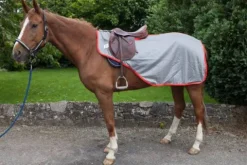 Best Couvre reins anti mouches taille shetland Couvre-Reins