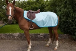 Best Couvre reins anti mouches taille shetland Couvre-Reins