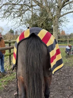 Hot Couvre Reins Horsewear 130 Couvre-Reins